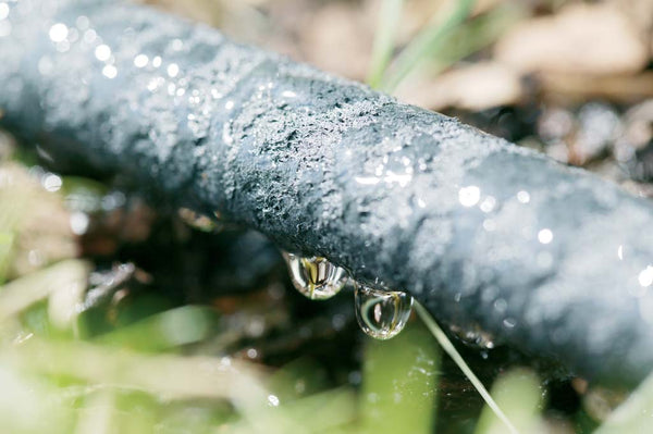 REHAU Perlschlauch ½" Tropfschlauch Länge 7,5Meter Bewässerungsschlauch